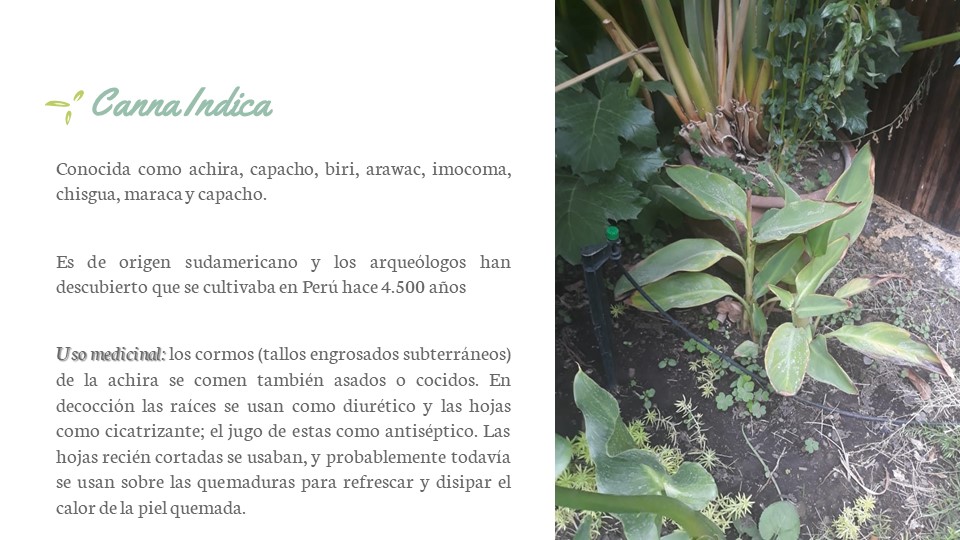 Diapositiva107