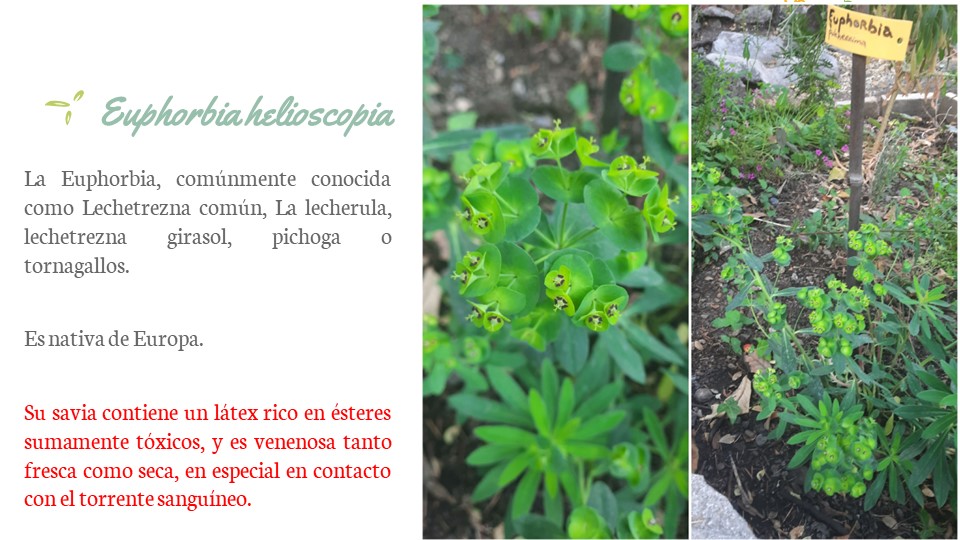 Diapositiva128