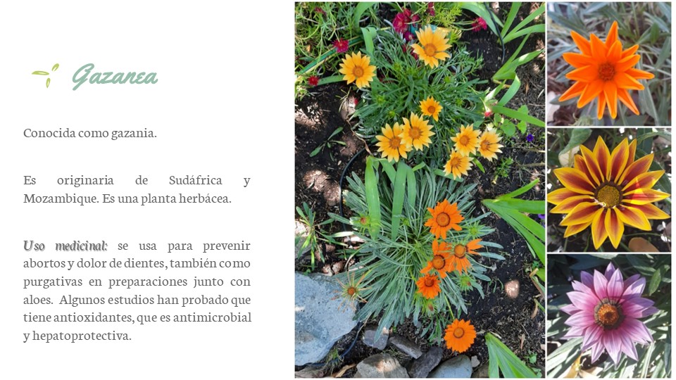 Diapositiva129