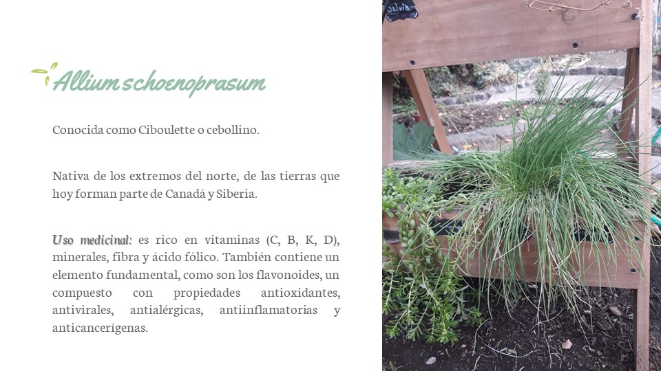 Diapositiva168