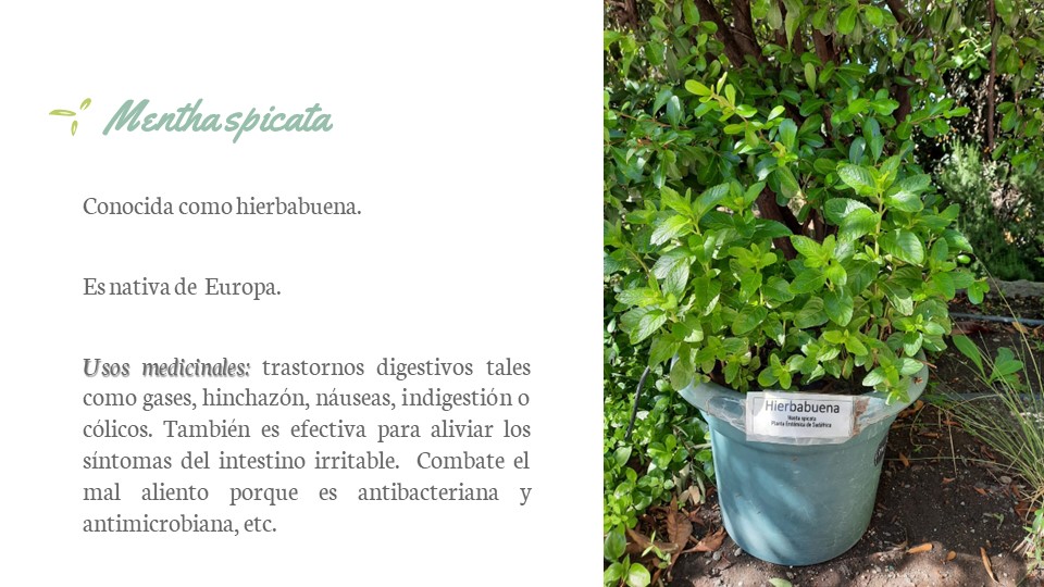 Diapositiva173