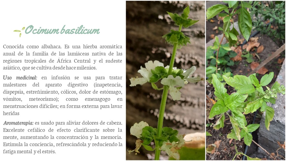Diapositiva178