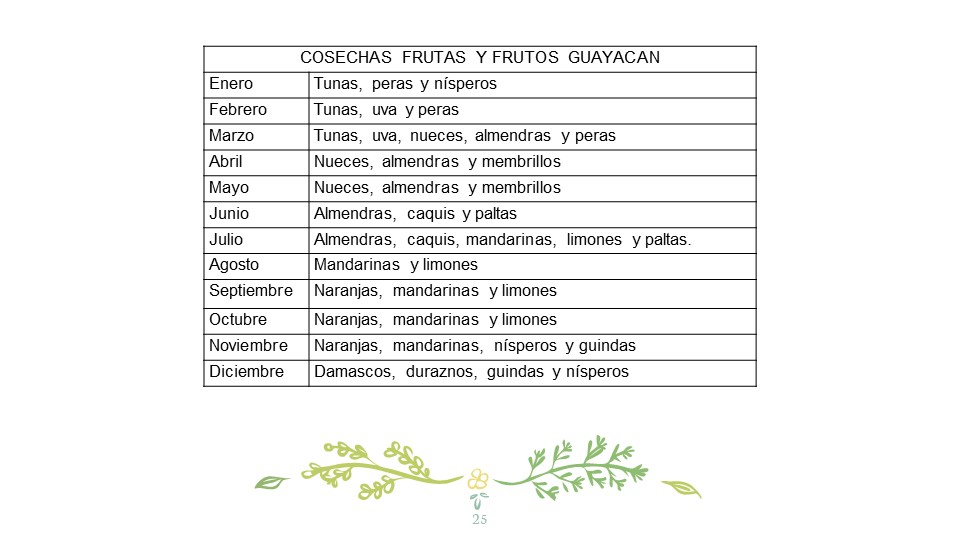 Diapositiva25
