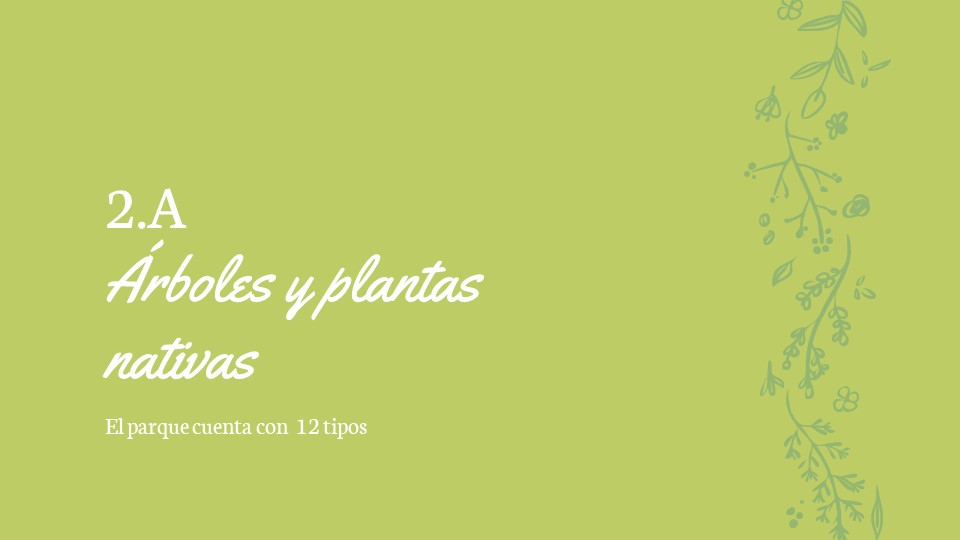 Diapositiva26