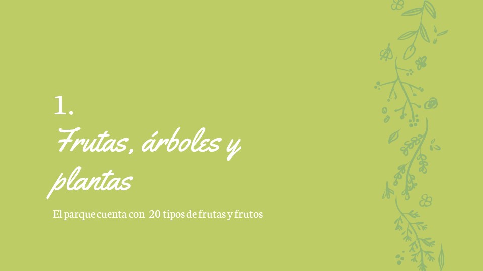 Diapositiva3
