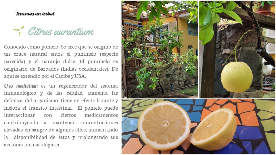 Diapositiva5