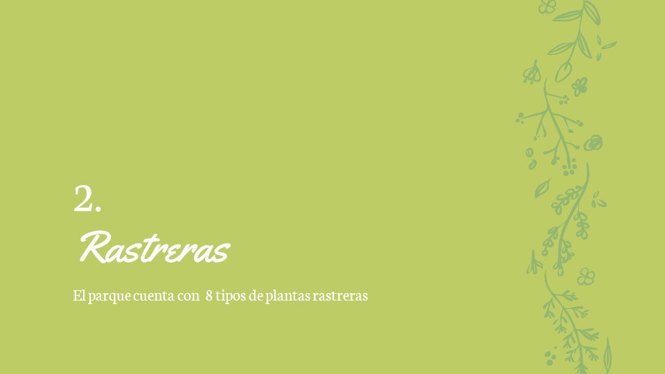 Diapositiva55