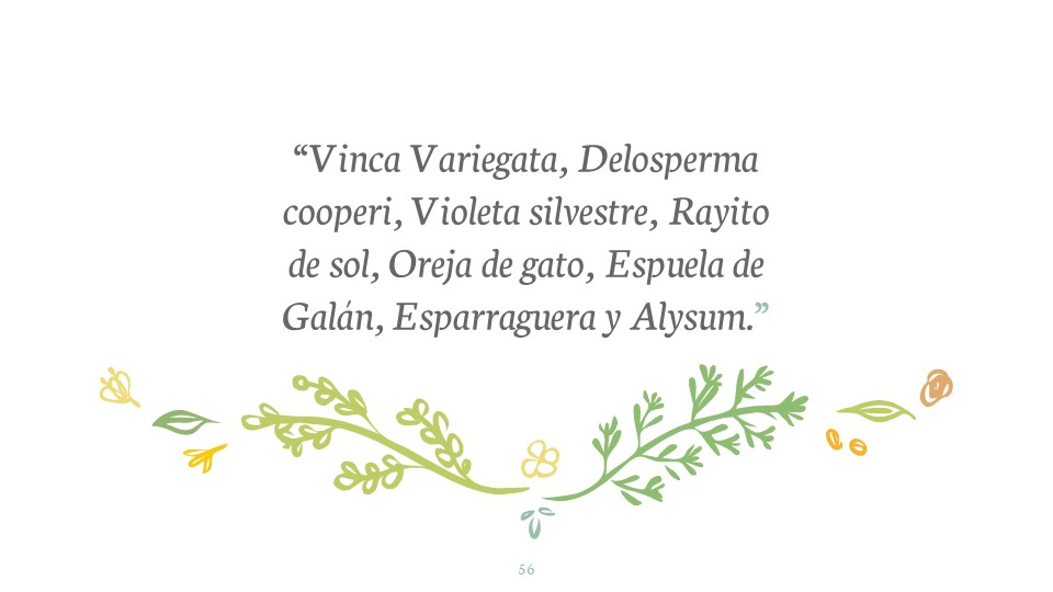 Diapositiva56