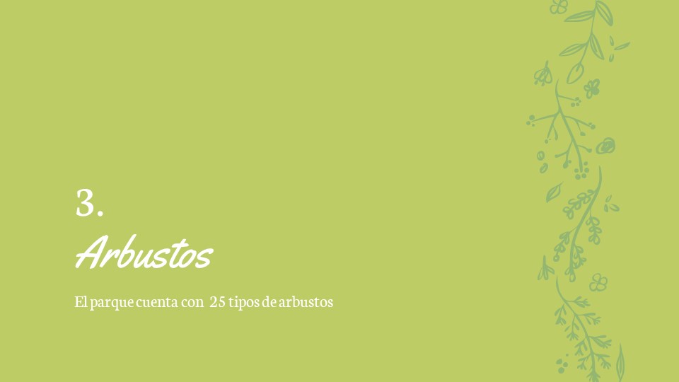 Diapositiva66