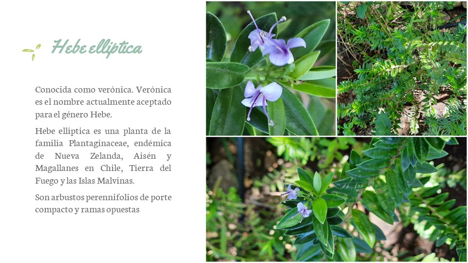 Diapositiva76