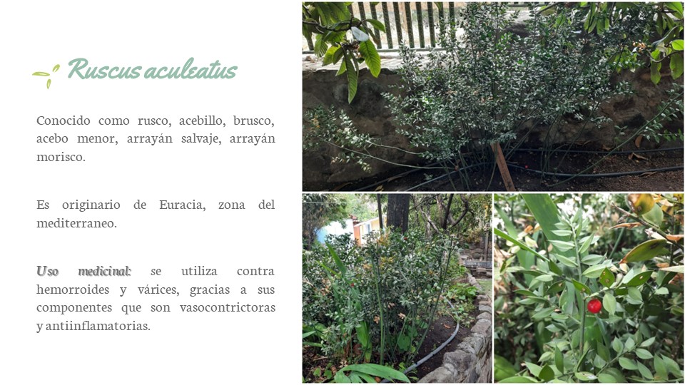 Diapositiva87