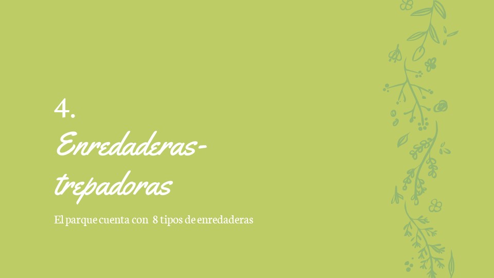 Diapositiva93